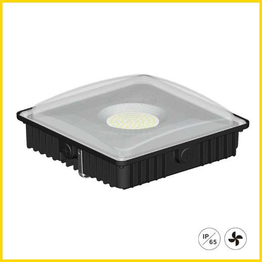 Classification and characteristics of LED Canopy Light