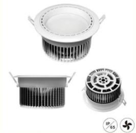 6W IP65 Fire Rated LED Downlight